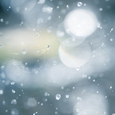 花鳥風月のジャケット写真