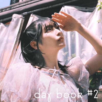 daybook #2のジャケット写真