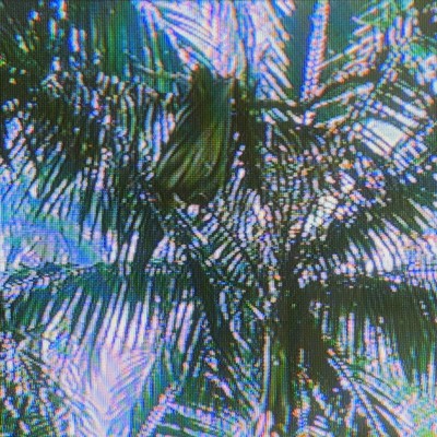 Summer Guys Front Cover