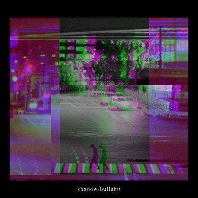 shadow/bullshit Front Cover