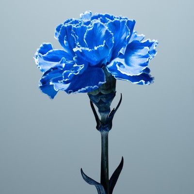 旋渦のジャケット写真