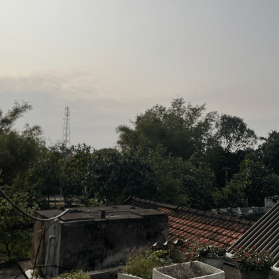 ウィスパリング ウィンドのジャケット写真