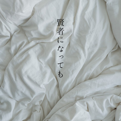 賢者になってものジャケット写真