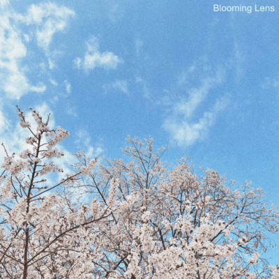 Blooming Lens Front Cover