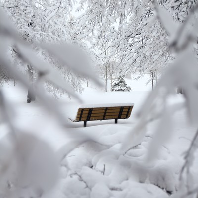 If happiness is too far away Front Cover