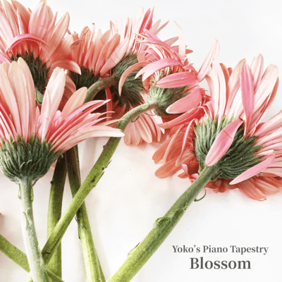 Blossom ~Yoko's Piano Tapestry Front Cover