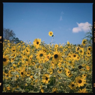 Four Seasons Front Cover