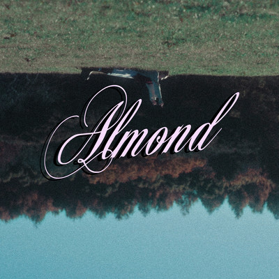 Almond Front Cover