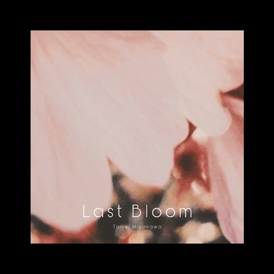 Last Bloom Front Cover