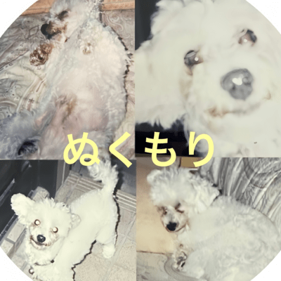 nukumori Front Cover