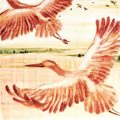 Platform 1/2 Front Cover