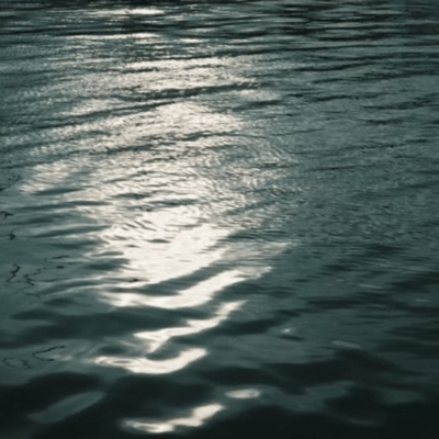 minamoのジャケット写真