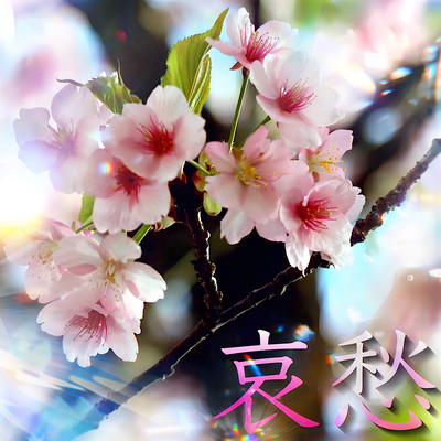 aisyuu Front Cover