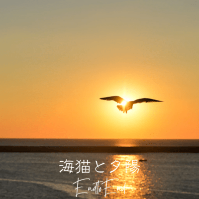 seagull with sunset Front Cover