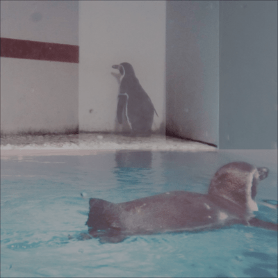 騒がしい孤独のジャケット写真