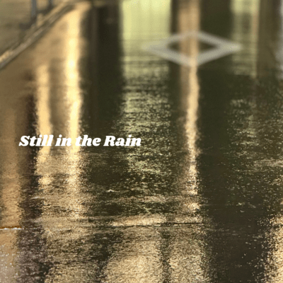 Still in the Rainのジャケット写真
