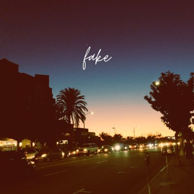 fake Front Cover