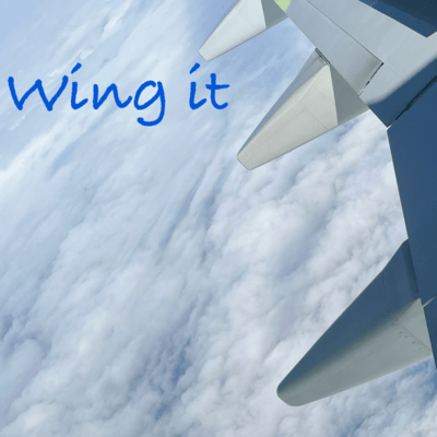 Wing it Front Cover