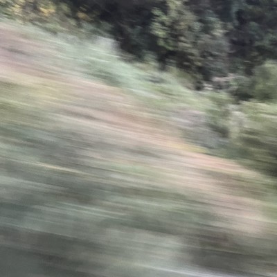 金木犀のジャケット写真