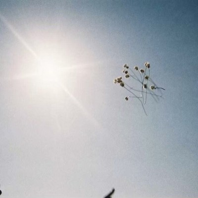 誰そ枯れのジャケット写真