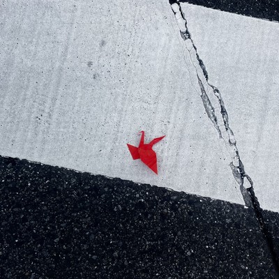 全廃のジャケット写真