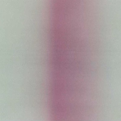 拳銃と花束のジャケット写真