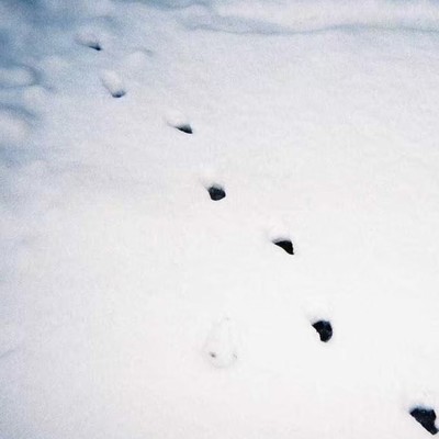 Outsiderのジャケット写真