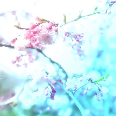 AquaMarineのジャケット写真