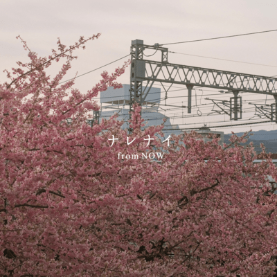 ナレナイのジャケット写真