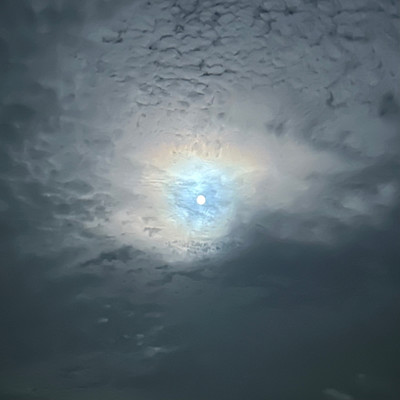 toughness Front Cover