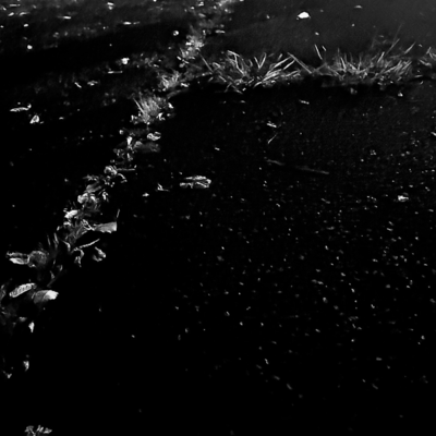 way of life Front Cover