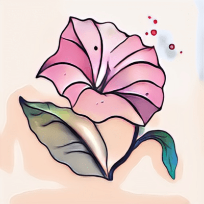 kumoyado Front Cover