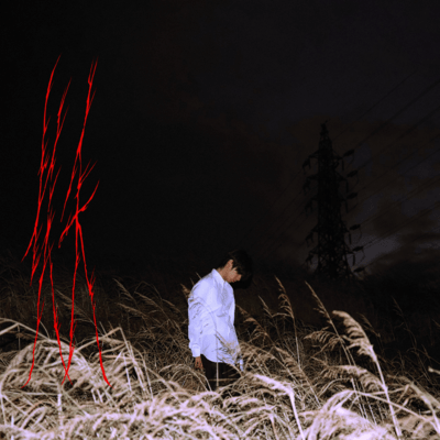 Ayakashiのジャケット写真