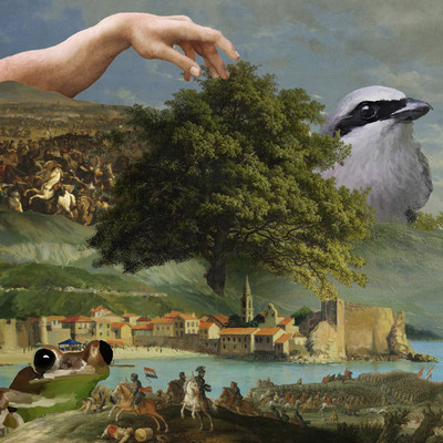 The World Tree loved by everyone Front Cover