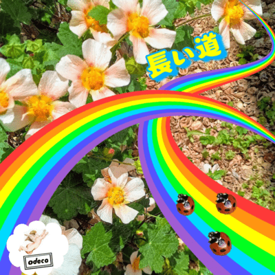 長い道 (Remix)のジャケット写真