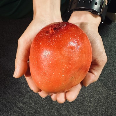 パリジェンヌ (feat. zuya & zuna)のジャケット写真