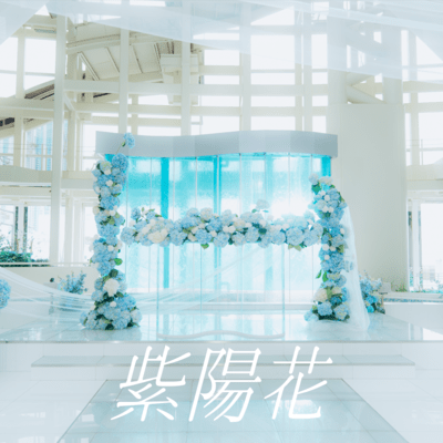 hydrangea Front Cover