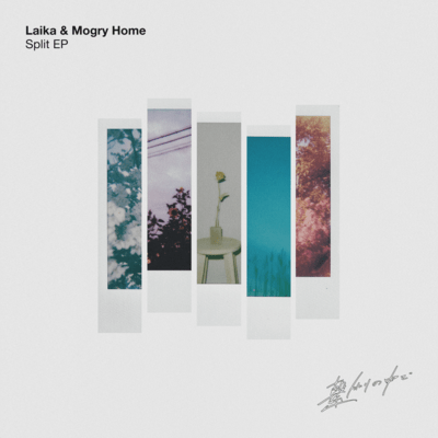 繋がりの中でのジャケット写真