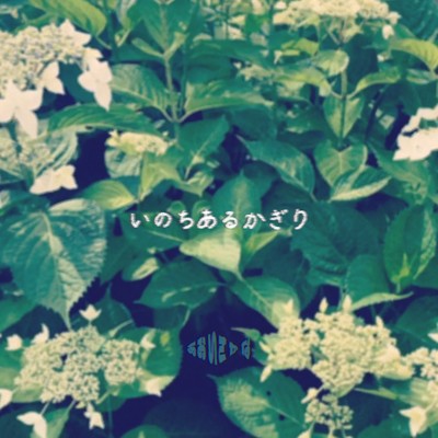 inochiarukagiri Front Cover