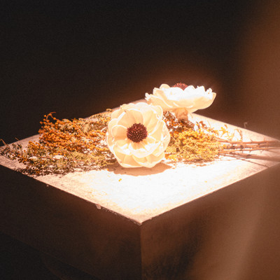 Flowers bloom from the scars Front Cover