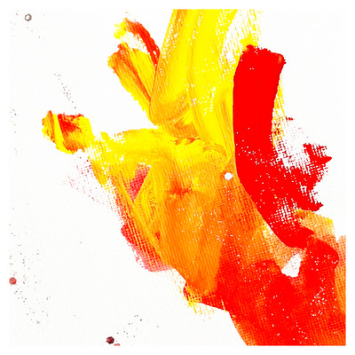 Like A Lion Front Cover