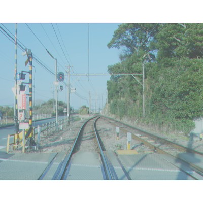 花ゆり痴人 (feat. 裏命)のジャケット写真