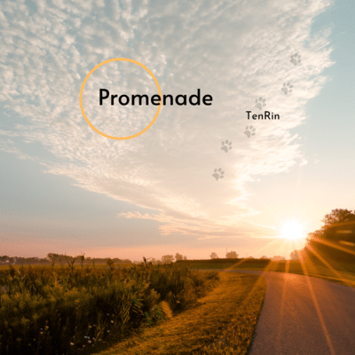 Promenadeのジャケット写真