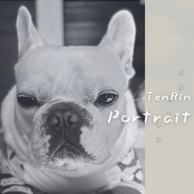 Portrait Front Cover