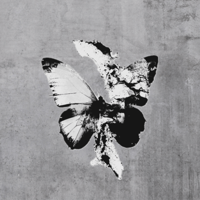 Gone butterflyのジャケット写真