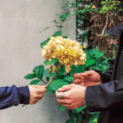 花れ離れのジャケット写真