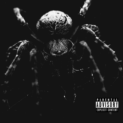 PADAのジャケット写真