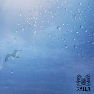 wind song Front Cover