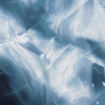 夢を見ていたのジャケット写真