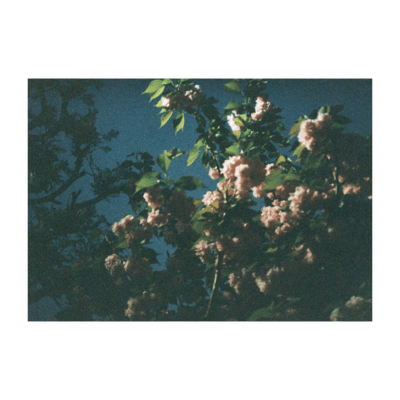 オーバード/春の憂鬱のジャケット写真